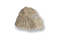 M 02647
<br/>
<br/>
<em></em>